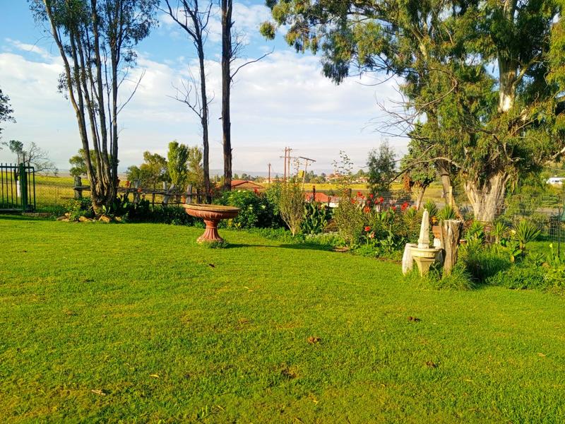 0 Bedroom Property for Sale in Kestell Free State